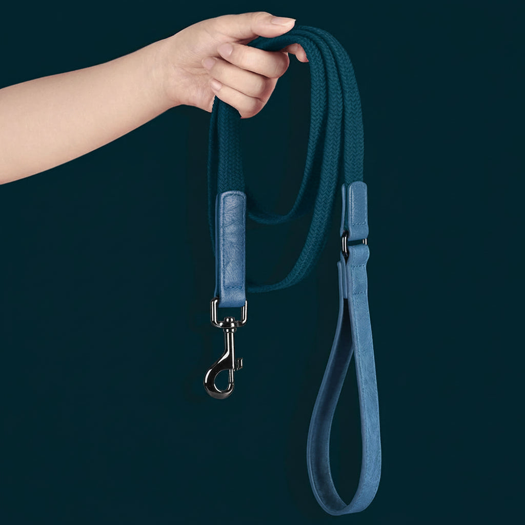 Laisse Pour Chien En Nylon Durable 1,5 M Avec Poignée En Cuir Robuste