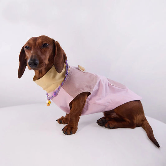 Veste Sans Manches Pour Chien