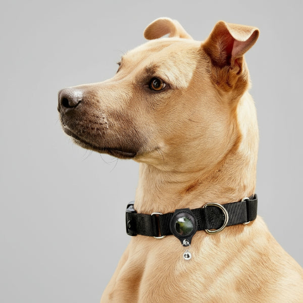 Étui De Protection AirTag Pour Chien Et Chat