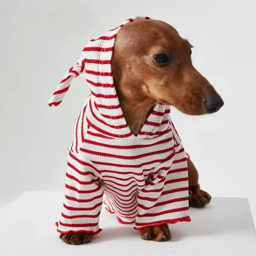 Tee-shirt à Capuche  Rayé Pour Chiens Teckel