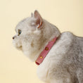 Charger l'image dans la visionneuse de la galerie, Collier en cuir durable avec rivet pour chat Oscar et Plume
