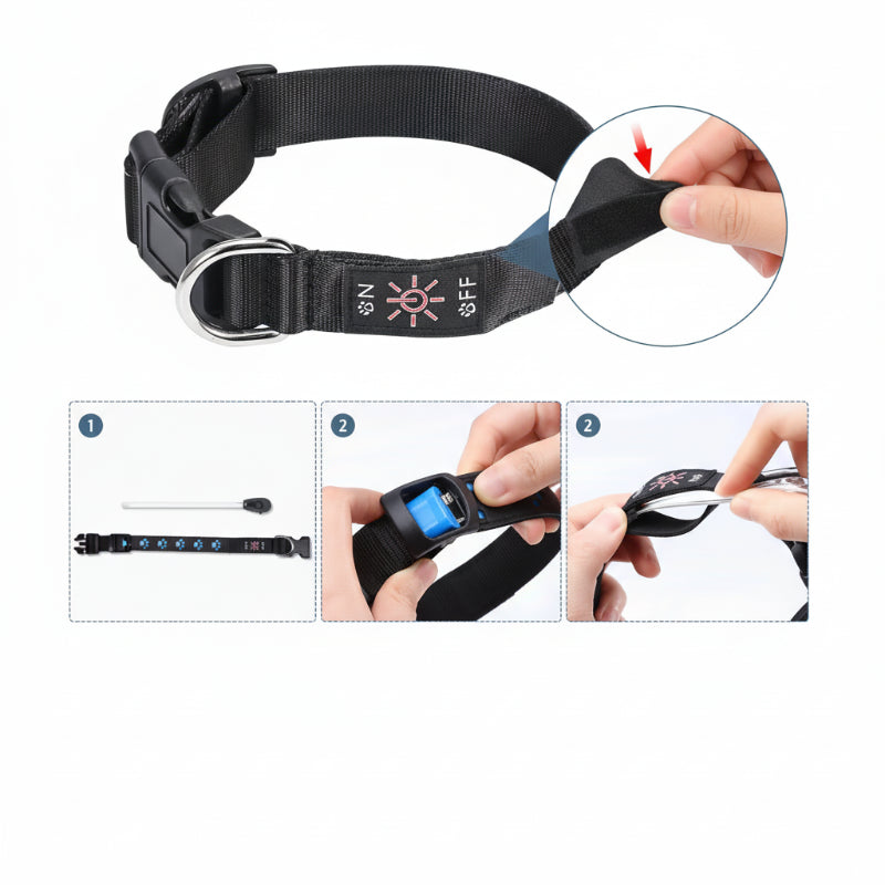 Collier LED Multicolore 7 Modes Pour Chat et Chien