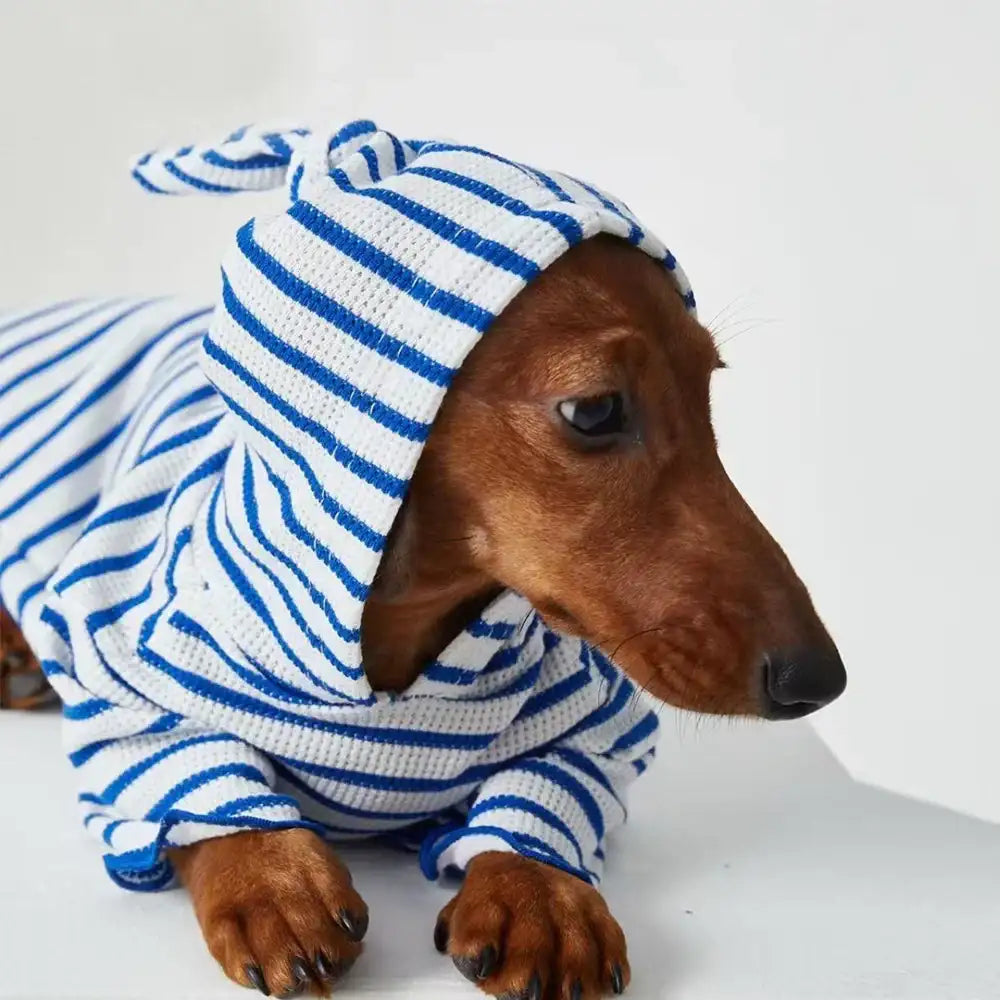 Tee-shirt à Capuche  Rayé Pour Chiens Teckel