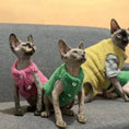 Load image into Gallery viewer, Gilet Polaire Effet Laine D Agneau Pour Chat
