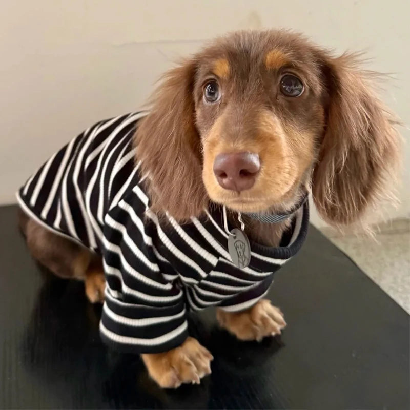 T Shirt Rayé Pour Petits Chiens Teckel