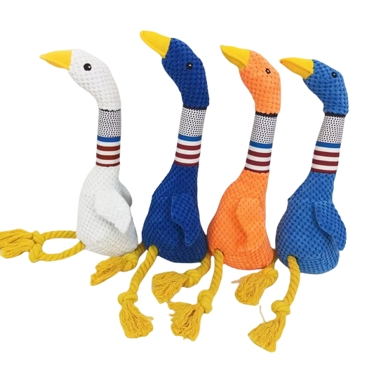 Jouet  pour Chien Peluche Sonore Canard