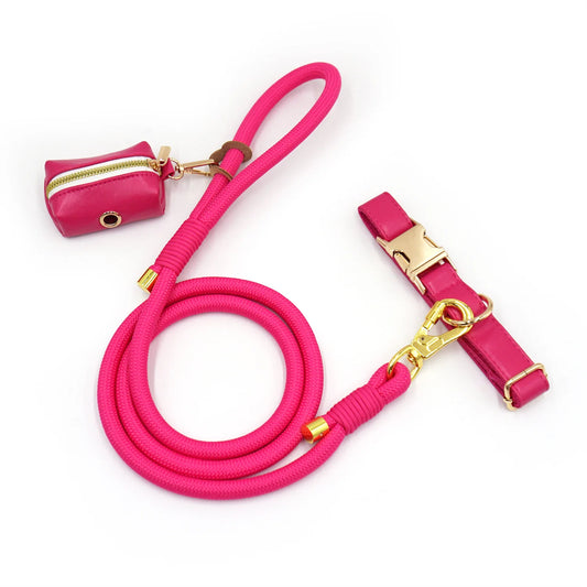 Ensemble Collier, laisse et distributeur de sac en cuir durable personnalisable pour chien Oscar et Plume