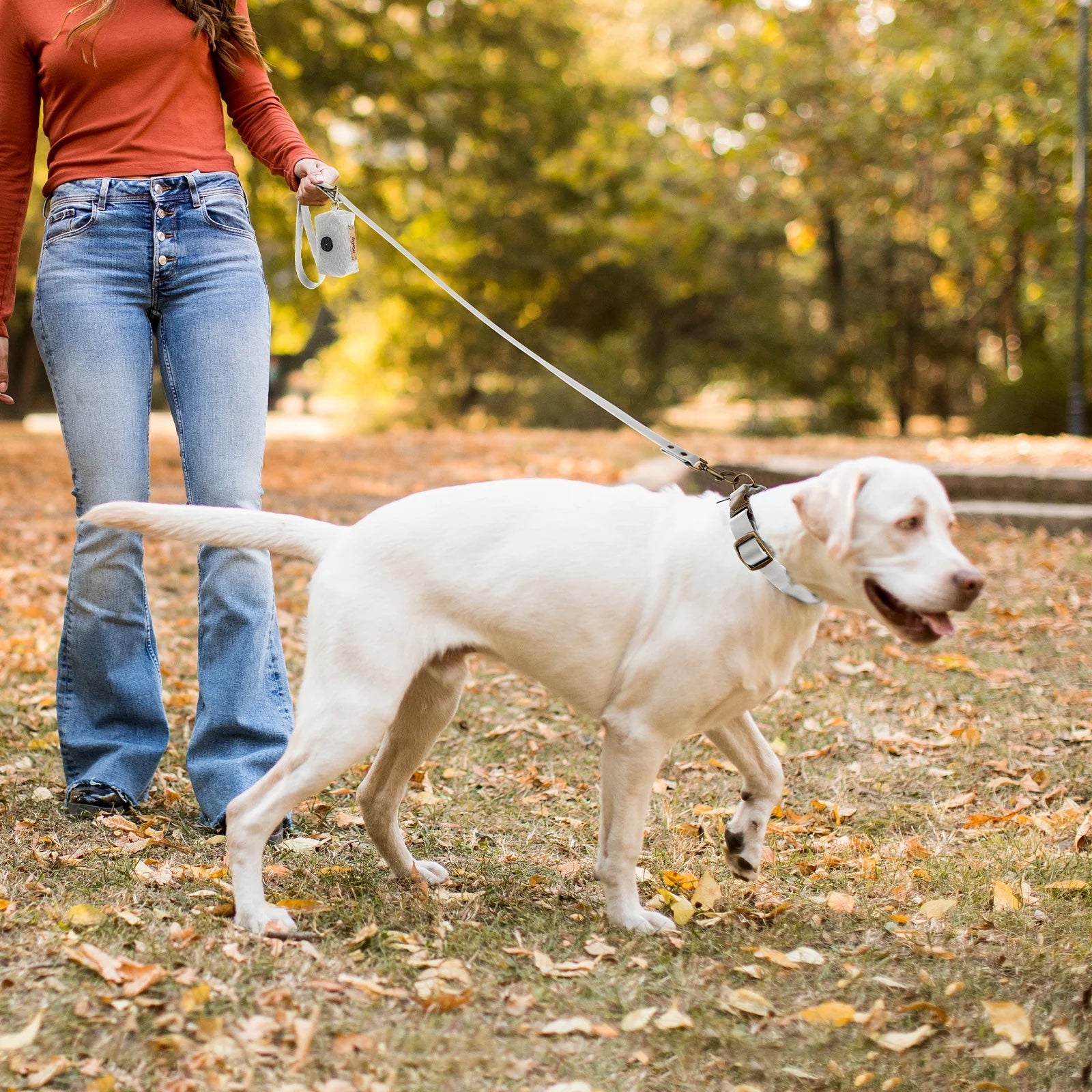 Ensemble Collier, laisse et distributeur de sac pour chien Oscar et Plume