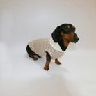 T-shirt Rayé Sans Manche Pour Chien Teckel