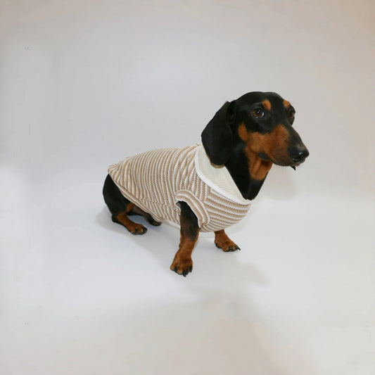 T-shirt Rayé Sans Manche Pour Chien Teckel