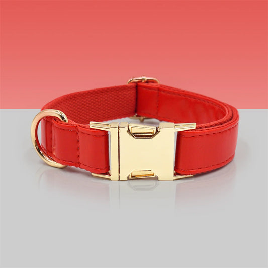 Ensemble Collier en cuir durable personnalisable, laisse et distributeur de sac pour chien Oscar et Plume Collier / XS