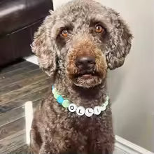 Ensemble Collier En Perles Personnalisé Pour Chien Et Bracelet Assorti Pour Vous