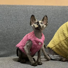Gilet Polaire Effet Laine D Agneau Pour Chat