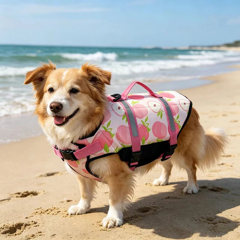 Gilet de Sauvetage Réfléchissant Réglable pour Chiens