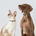 Charger l'image dans la visionneuse de la galerie, Collier bijou en cuir durable pour chat et petit chien Oscar et Plume
