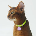 Load image into Gallery viewer, Anti-strangulation design collar for cats
