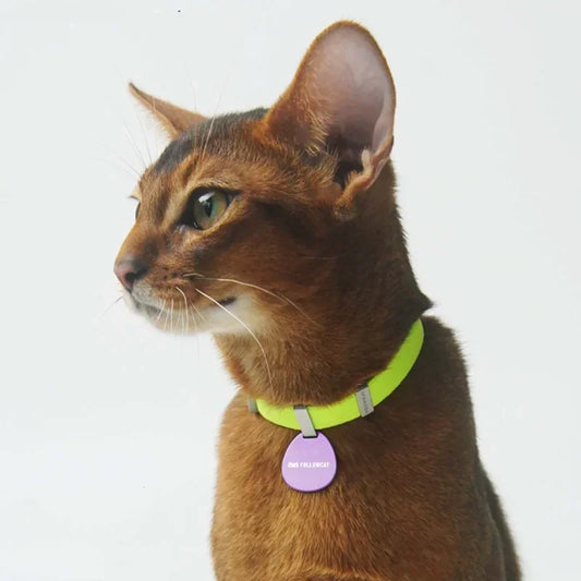 Anti-strangulation design collar for cats