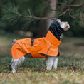 Carica l'immagine nel visualizzatore della galleria, Imperméable Pour Chien Avec Trou De Laisse
