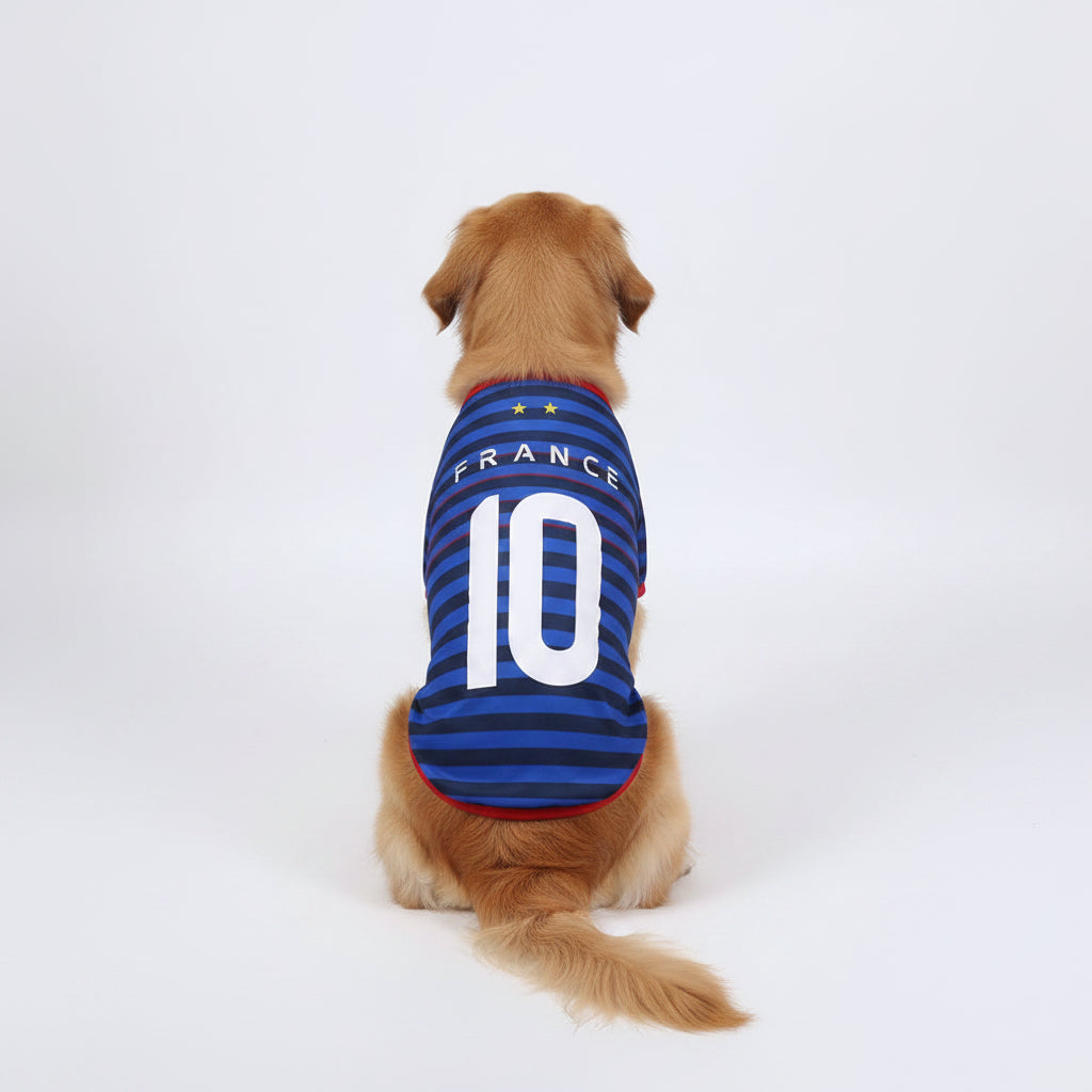 T-Shirt pour Chien aux couleurs de votre équipe préférée