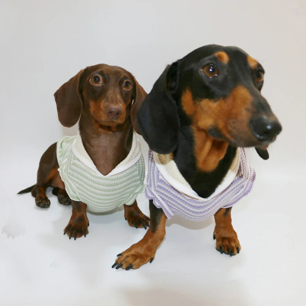 T-shirt Rayé Sans Manche Pour Chien Teckel