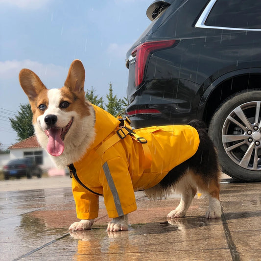 Imperméable pour chien avec capuche et anneau de laisse Oscar et Plume Beige / XS