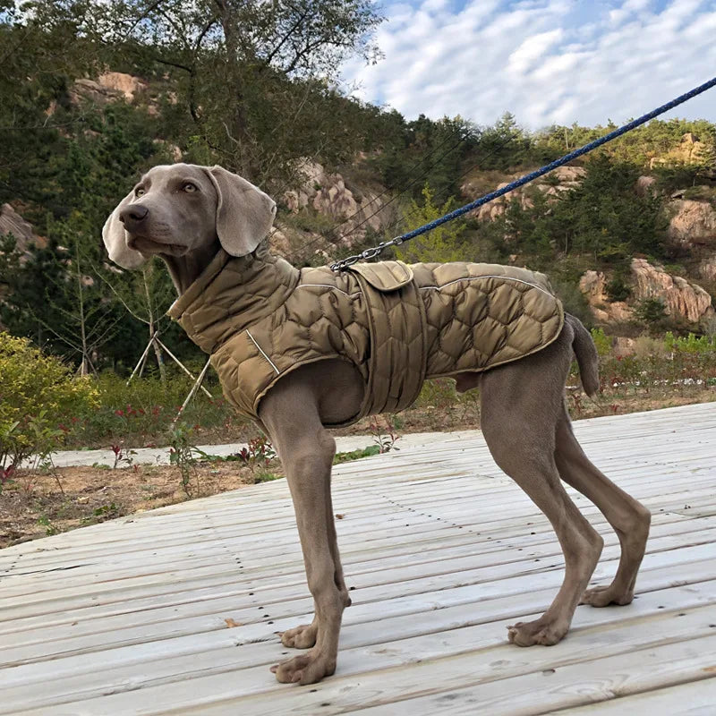 Vêtement d'hiver pour chien de grande taille