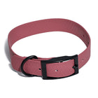 Collier Imperméable pour Chien
