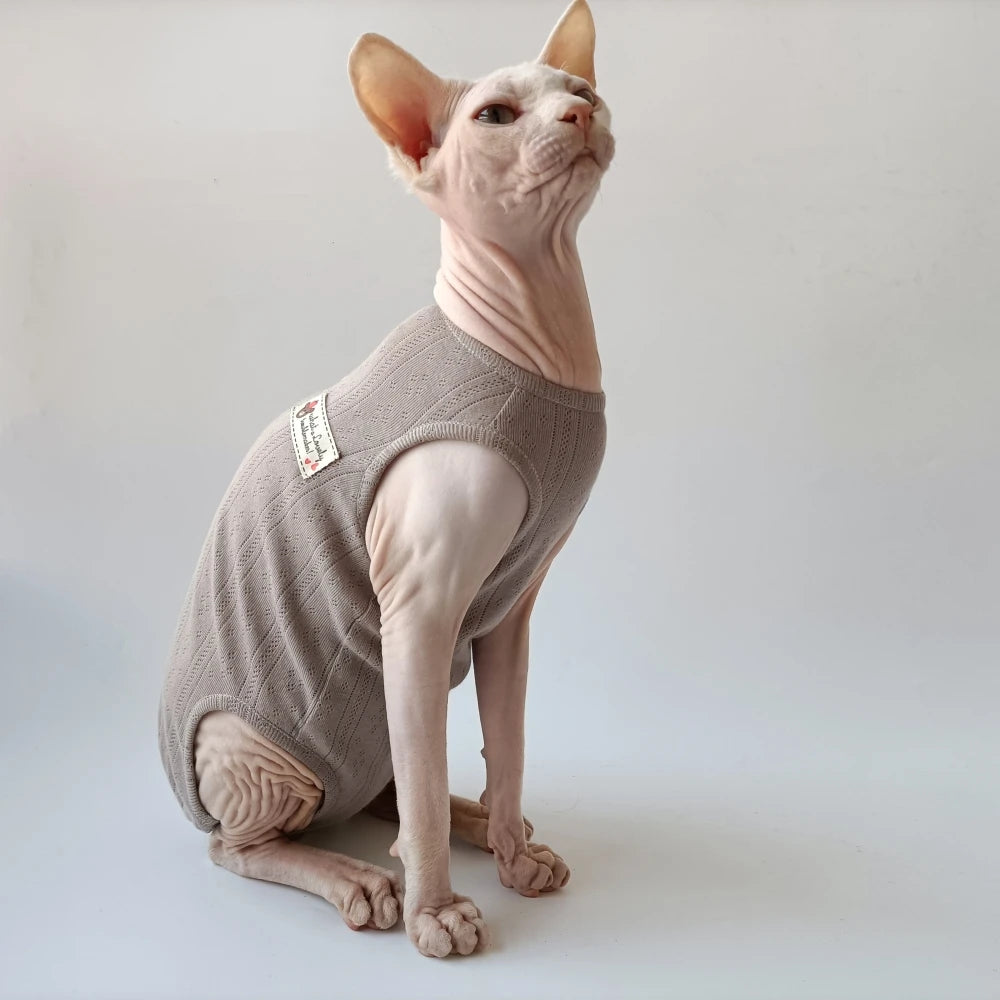 T-Shirt  Été Pour Chat Sphynx  En Coton