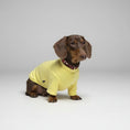 Load image into Gallery viewer, Sweat Rayé Elégant Pour Chien Teckel
