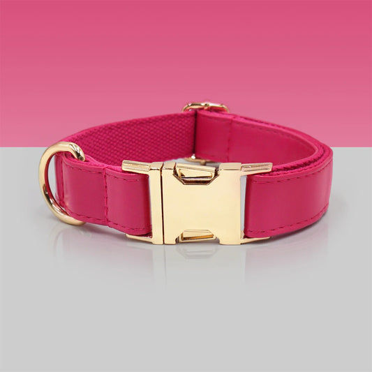 Ensemble Collier, laisse et distributeur de sac en cuir durable personnalisable pour chien Oscar et Plume Collier / XS