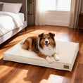 Cargar la imagen en la vista de la galería, Coussin Pour Chien Confortable Avec Housse Amovible
