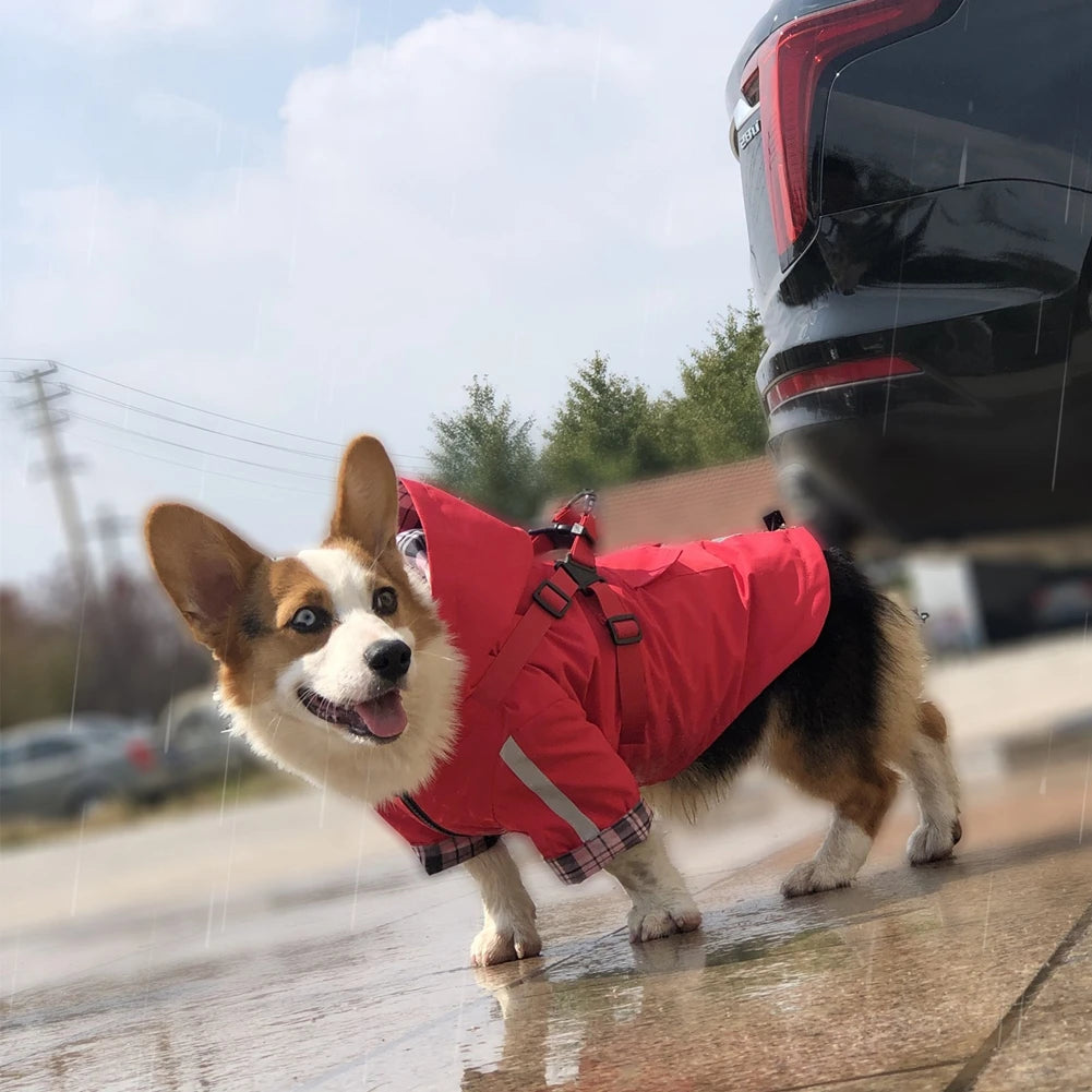 Imperméable pour chien avec capuche et anneau de laisse Oscar et Plume Beige / XS