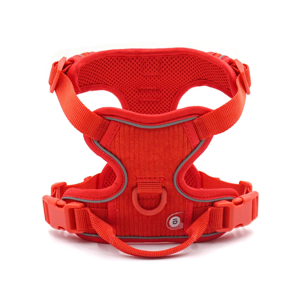 Harnais ou Ensemble personnalisable en velours pour chien Oscar et Plume Harnais Rouge / S