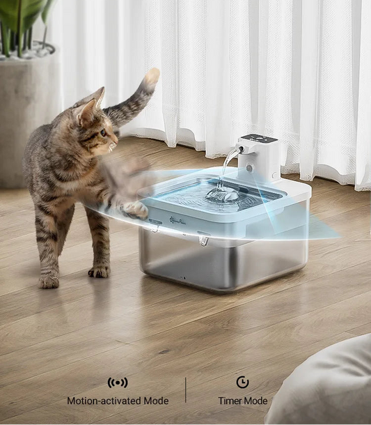 Fontaine Eau Automatique En Acier Inoxydable 2,5L Sans Fil Avec Batterie 4000mAh