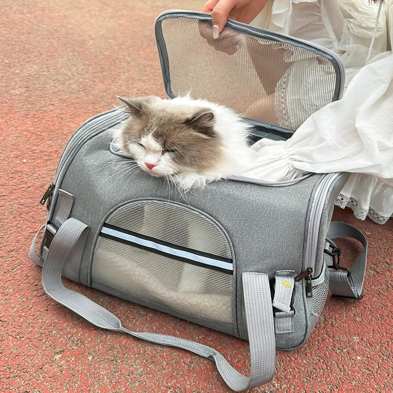 Sac Transport Pliable Maille Respirante Voyage Pour Chat Et Chien