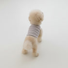 T-shirt Sans Manches Pour Petit Chien