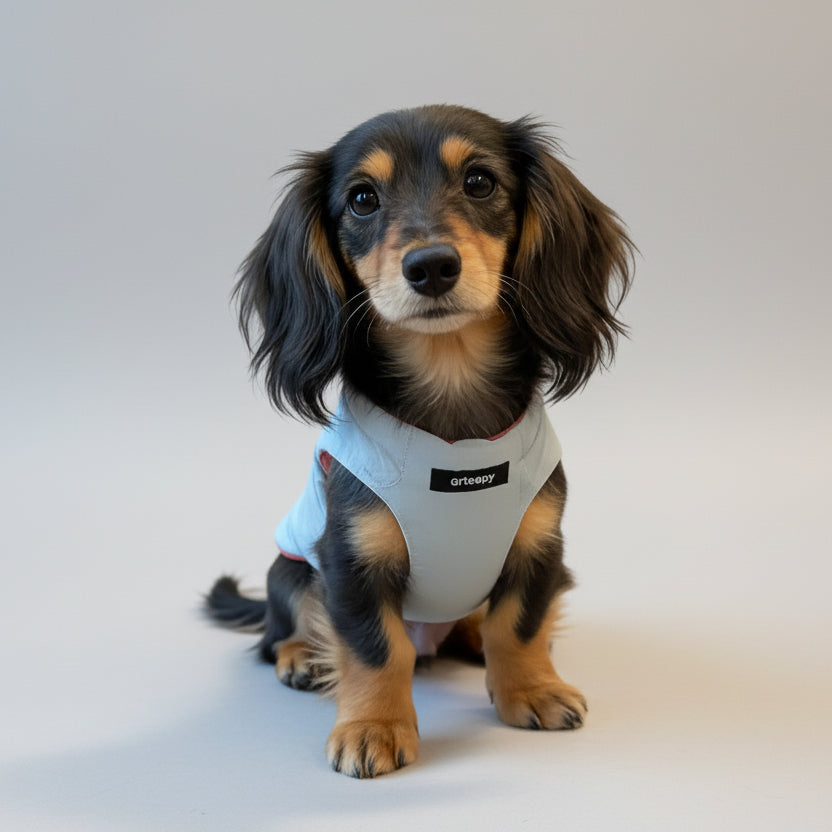 Veste Réversible San Manche Pour Chien Teckel