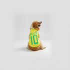 Maillot Football Pour Chien En Maille Légère