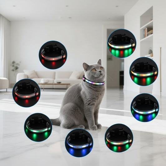 Collier LED Rechargeable Étanche Pour Chat Avec Télécommande