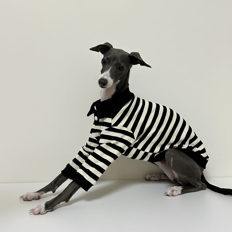 Polo En Coton Rayé Pour Lévrier Et Whippet