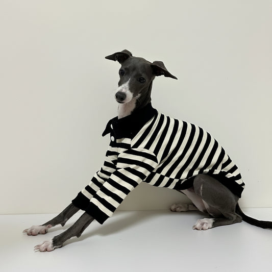 Polo En Coton Rayé Pour Lévrier Et Whippet