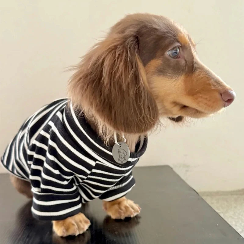T Shirt Rayé Pour Petits Chiens Teckel