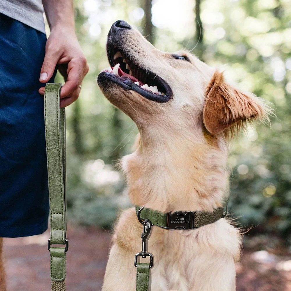 Laisse Pour Chien En Nylon Durable 1,5 M Avec Poignée En Cuir Robuste