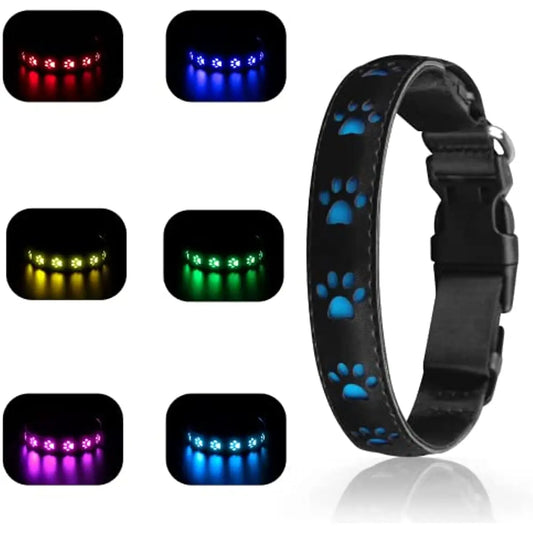 Collier LED Multicolore 7 Modes Pour Chat et Chien