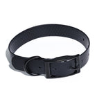Collier Imperméable pour Chien