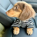 Load image into Gallery viewer, T Shirt Rayé Pour Petits Chiens Teckel
