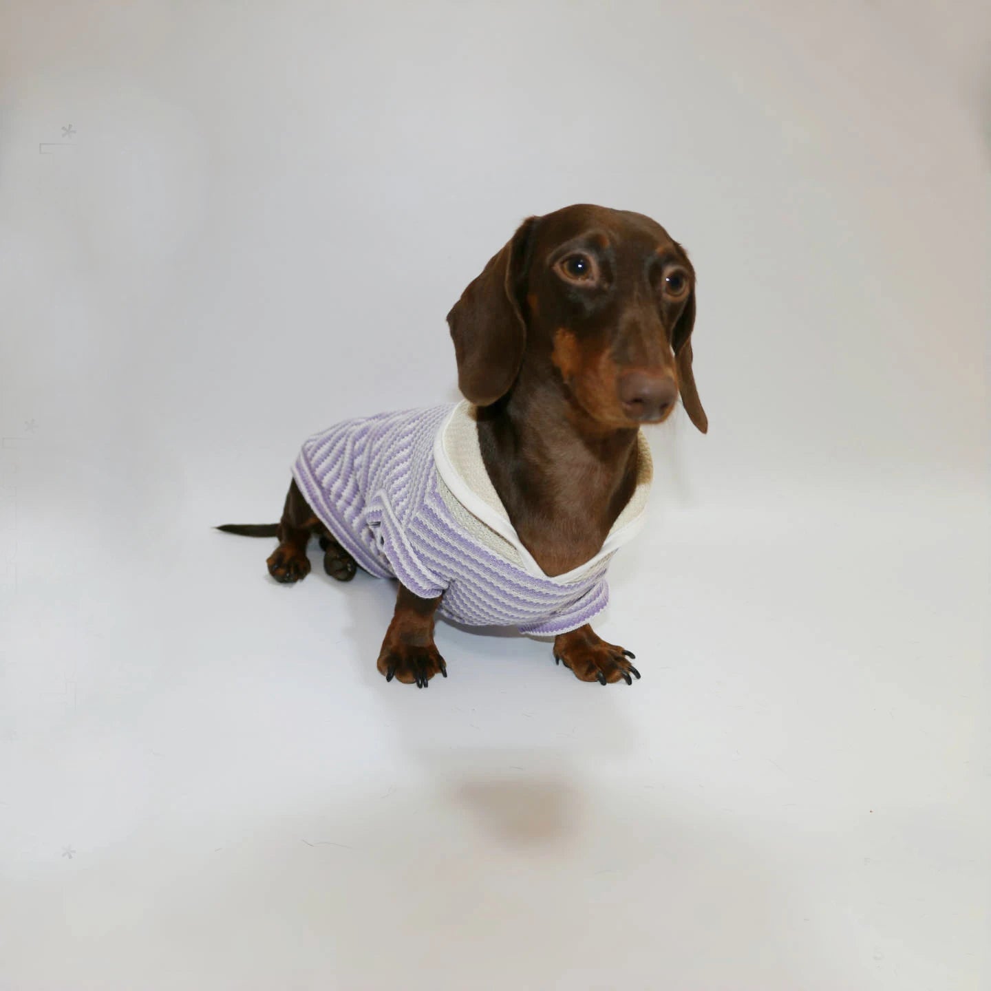 T-shirt Rayé Sans Manche Pour Chien Teckel