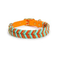 Charger l'image dans la visionneuse de la galerie, Collier tressé pour chien Oscar et Plume Orange / S (20-30cm)
