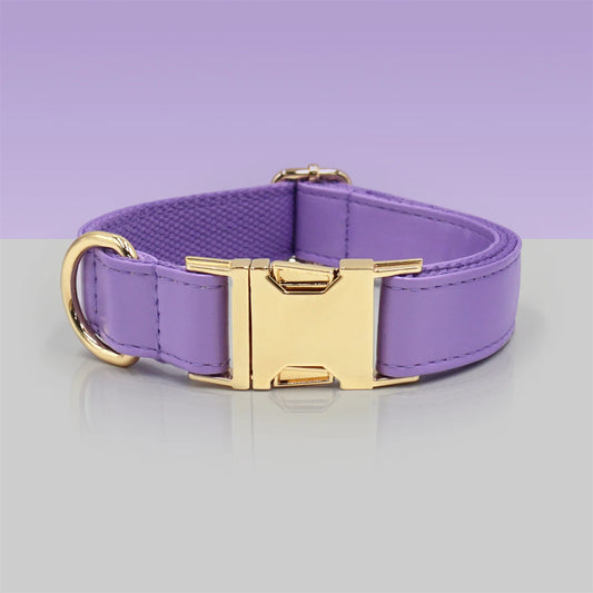 Ensemble Collier en cuir durable personnalisable, laisse et distributeur de sac pour chien Oscar et Plume Collier / XS