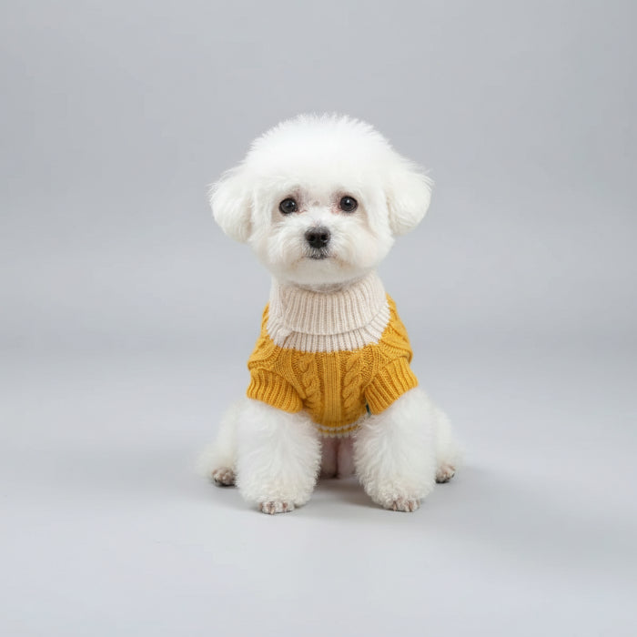 Pull pour Animaux de Compagnie Tricoté et Chaud pour Automne et Hiver Avec Col Roulé Élastique pour Chiens et Chats by Oscar et Plume